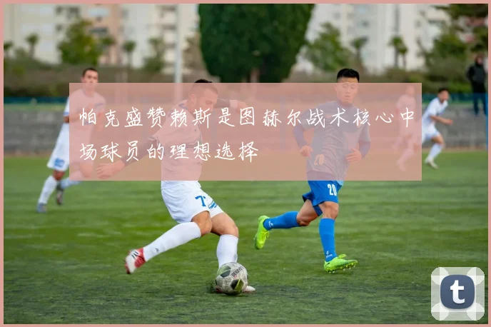 帕克盛赞赖斯是图赫尔战术核心中场球员的理想选择