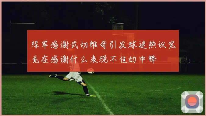 绿军感谢武切维奇引发球迷热议究竟在感谢什么表现不佳的中锋